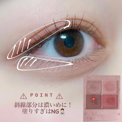 シルキースフレアイズ(マットタイプ)/キャンメイク/アイシャドウパレットを使ったクチコミ(4枚目)