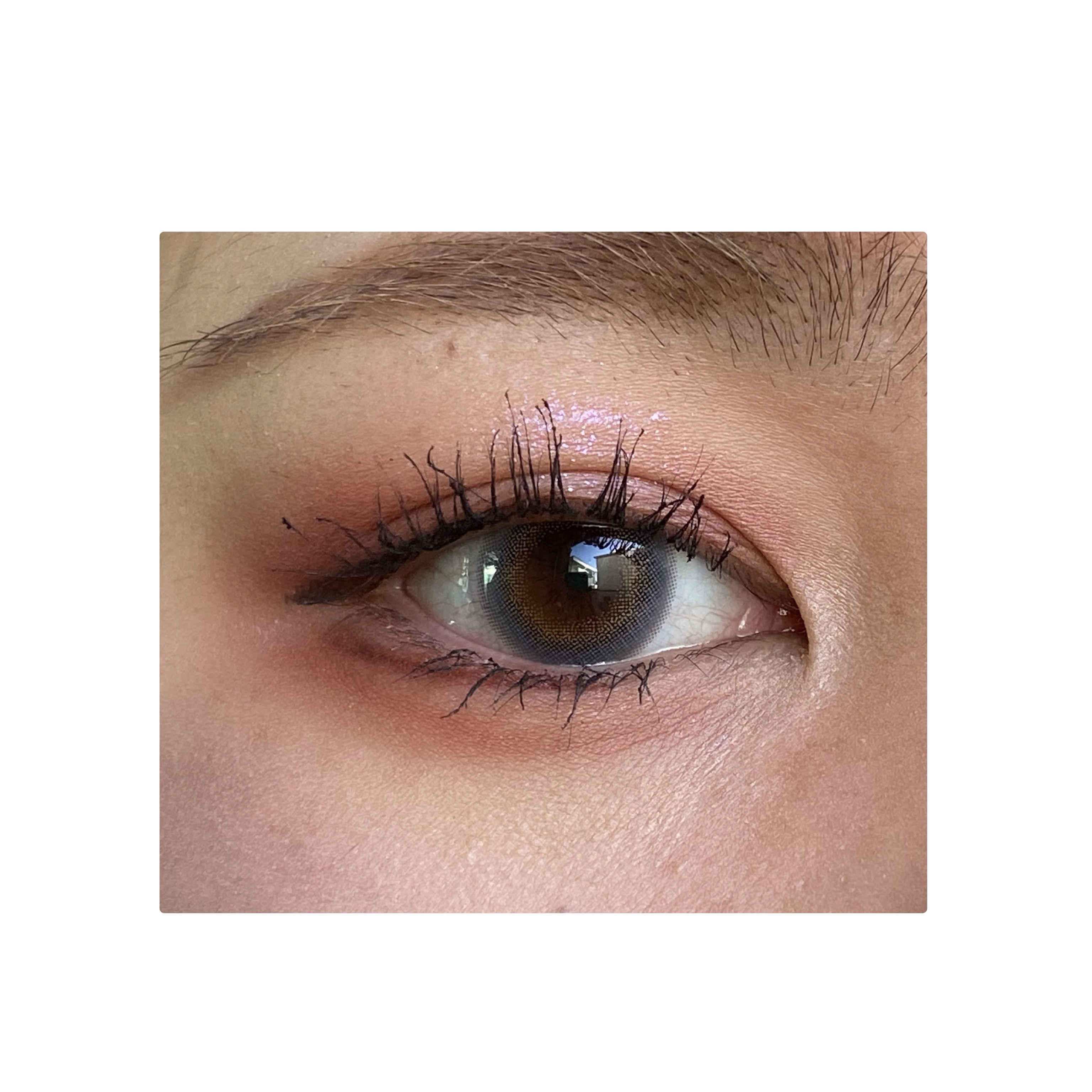 ペガビジョン 1day モイスト/CRUUM/ワンデー（１DAY）カラコンを使ったクチコミ（1枚目）