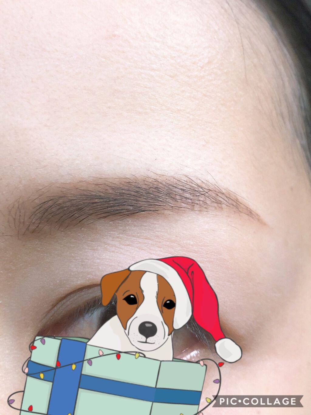 フーミー アイブロウパウダー/WHOMEE/パウダーアイブロウを使ったクチコミ(3枚目)