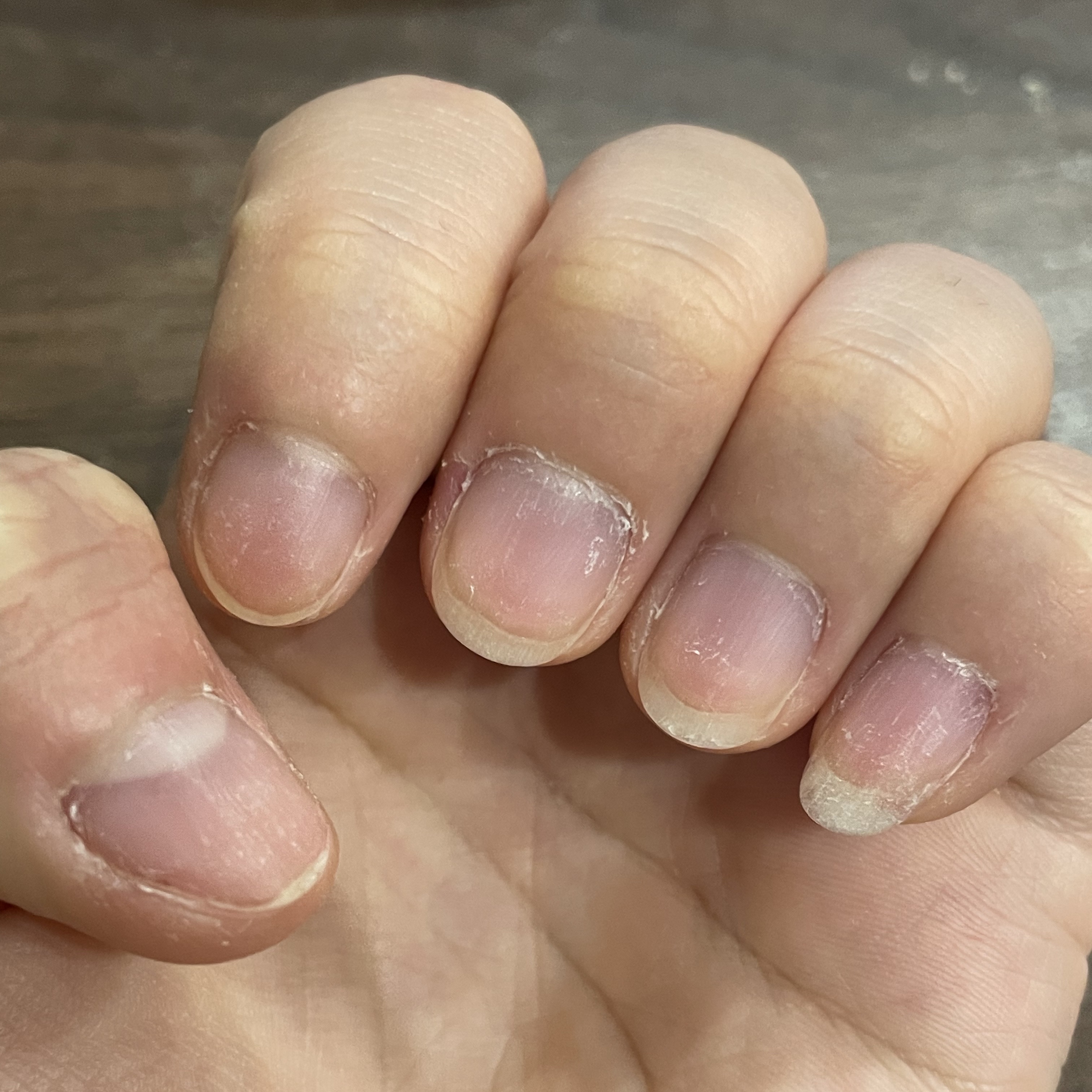 HOMEI ウィークリージェル WF4 ケアリングピンク(Caring Pink)/HOMEI/ジェルネイルを使ったクチコミ（3枚目）