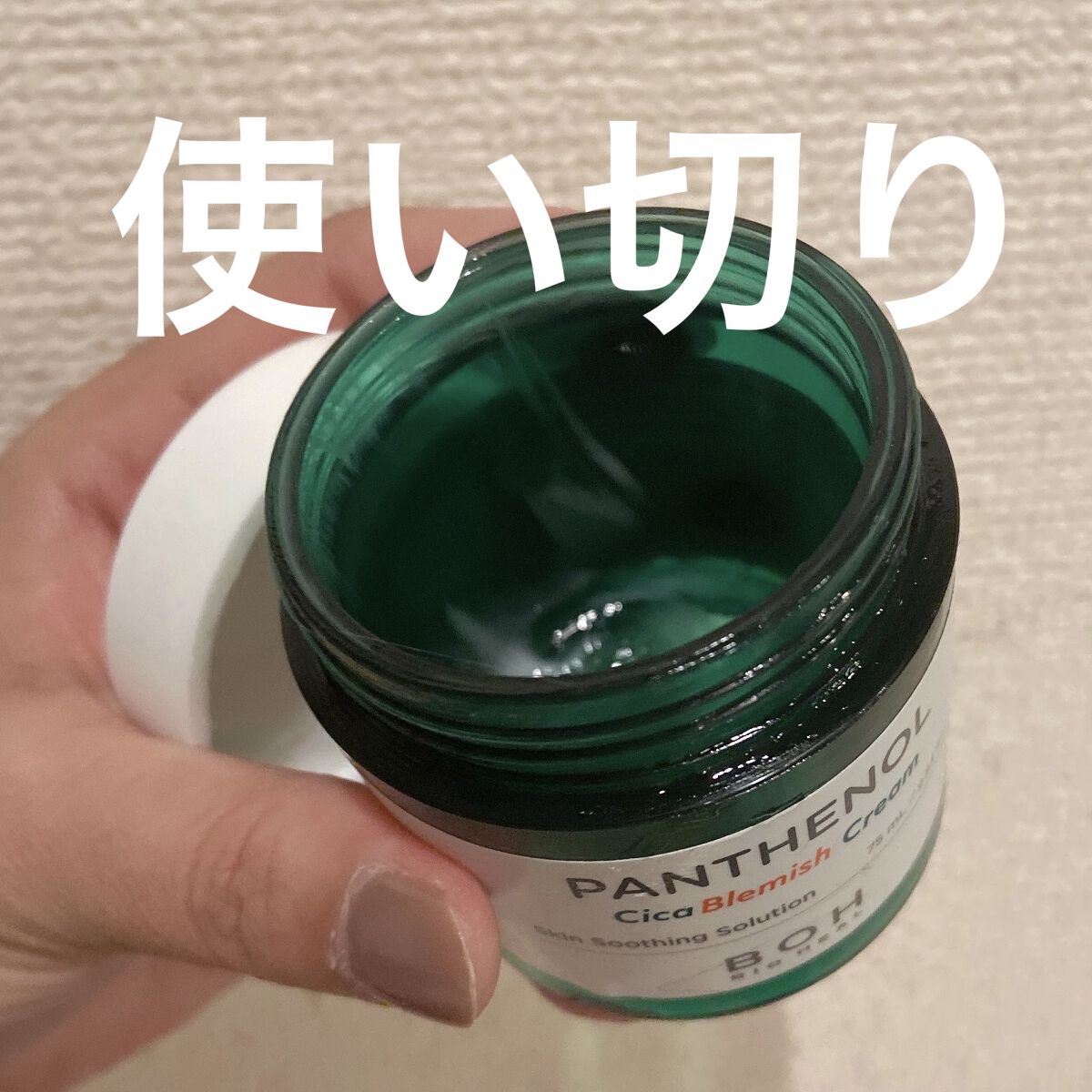 ダーマインテンシブシカパンテノールブラミッシュクリーム/BIOHEAL BOH/フェイスクリームを使ったクチコミ（1枚目）