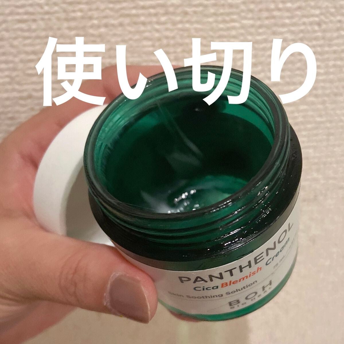 ダーマインテンシブシカパンテノールブラミッシュクリーム/BIOHEAL BOH/フェイスクリームを使ったクチコミ(1枚目)