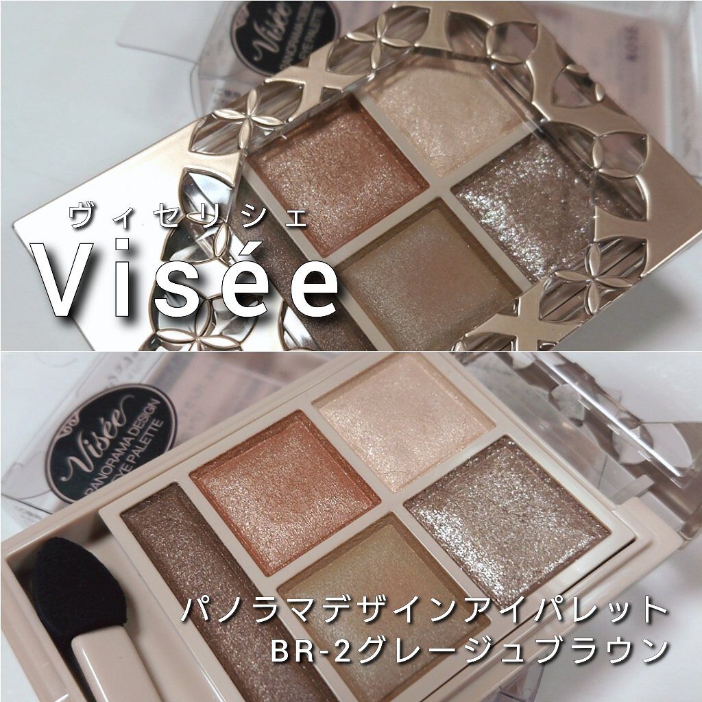 パノラマデザイン アイパレット/Visée/アイシャドウパレットを使ったクチコミ（2枚目）