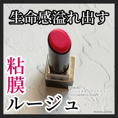 やっと手に入れた…人気すぎて売り切れ多数の口紅です💄

-----------------
KANEBO
ルージュスターヴァイブラント
EX3 Cranberry Drop
--------------