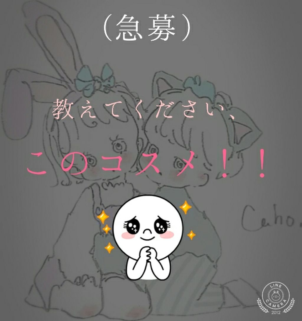 【旧品】パーフェクトスタイリストアイズ/キャンメイク/アイシャドウパレットを使ったクチコミ（1枚目）