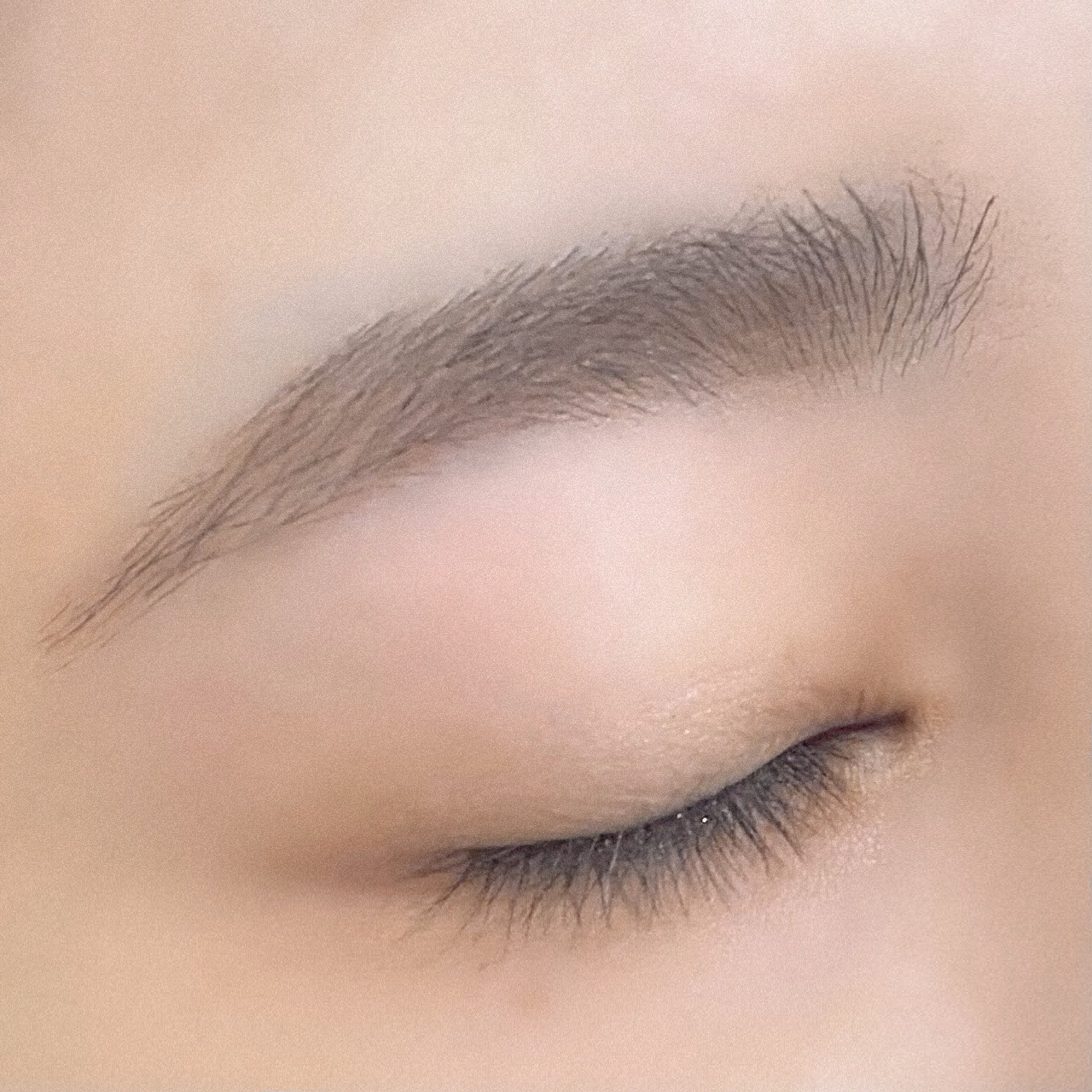 ＆.眉ジェルベース ピンクブラウン/DAISO/その他アイブロウを使ったクチコミ（3枚目）