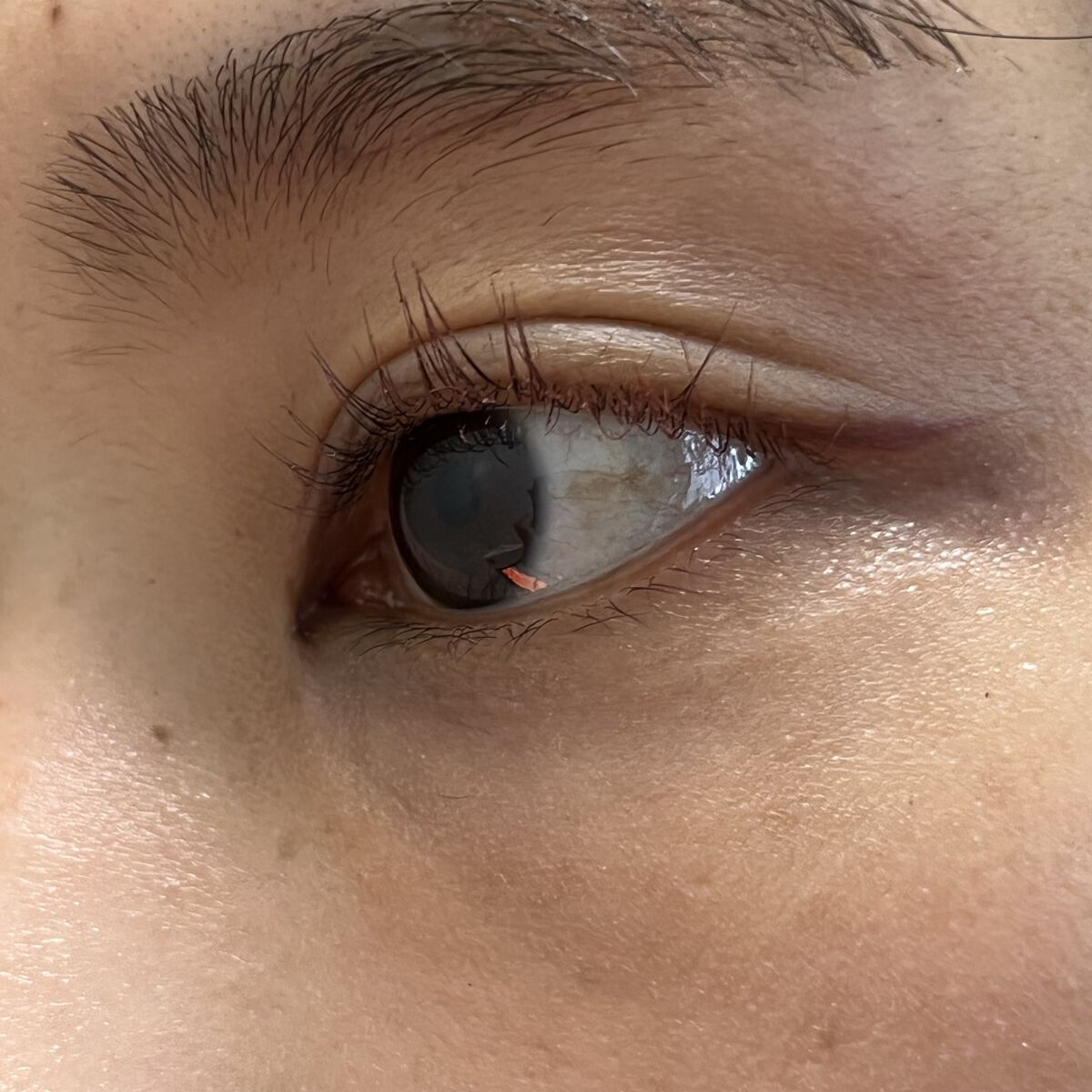 パーフェクトエクステンション マスカラ for カール/D-UP/マスカラを使ったクチコミ（3枚目）