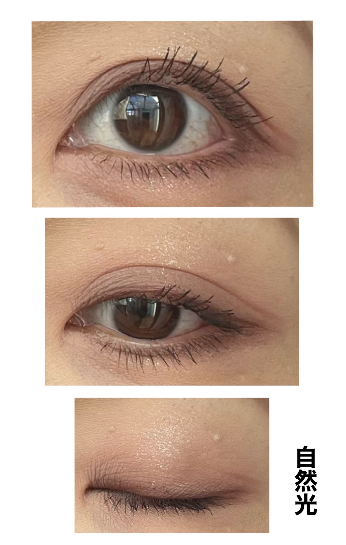 Wonjungyo ウォンジョンヨ Ｗ デイリームードアップパレット のクチコミ「＼淡いのに盛れる❣️／

Wonjungyo
ウォンジョンヨ Ｗ デイリームードアップパレット.....」（3枚目）