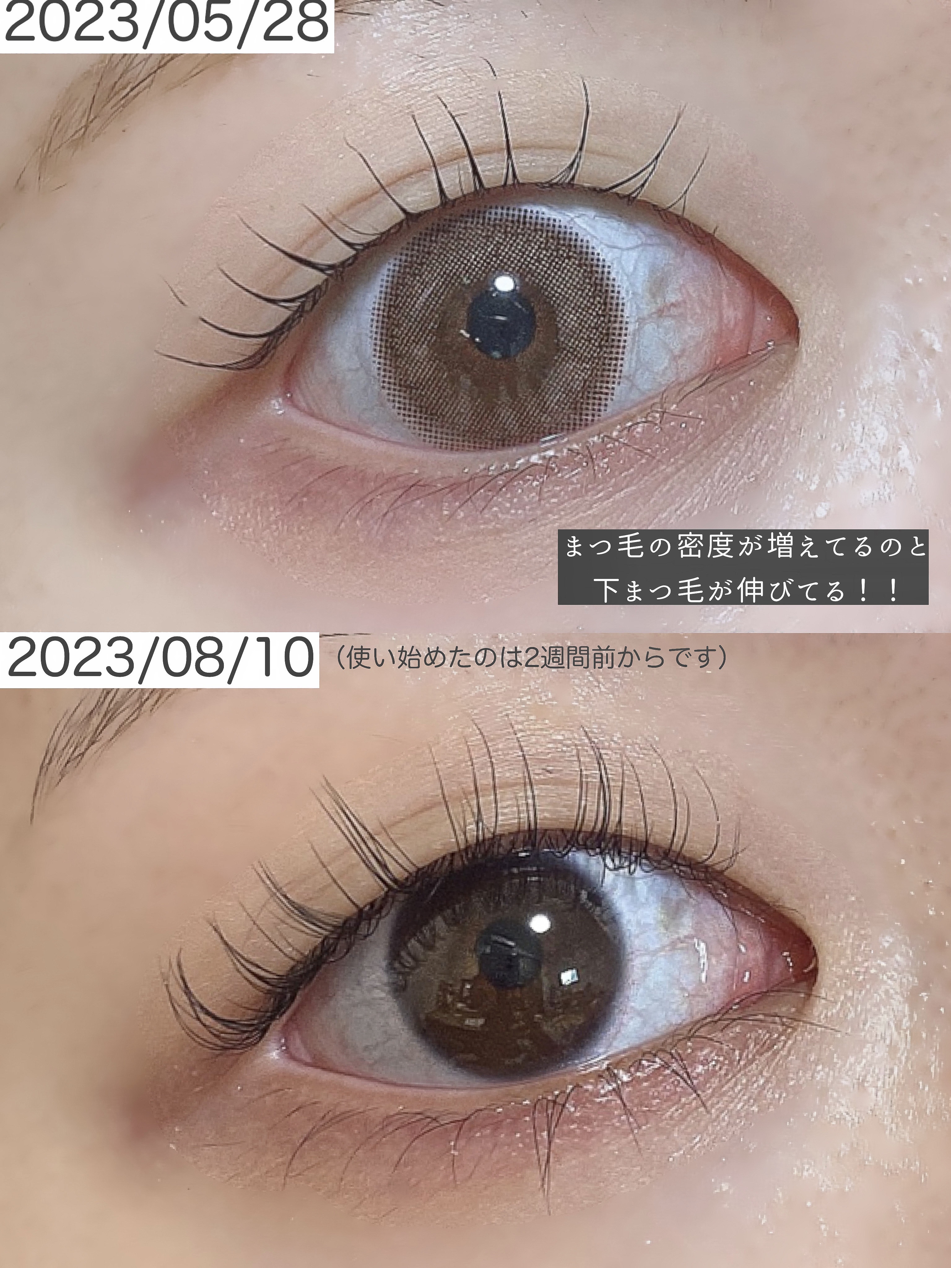 ロングアクティブアイラッシュセラム/COSNORI/まつげ美容液を使ったクチコミ（1枚目）