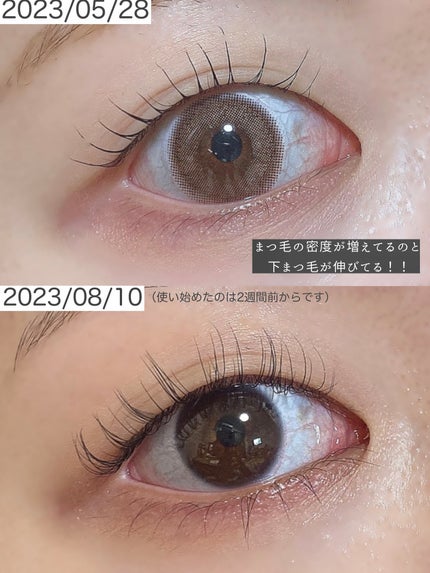ロングアクティブアイラッシュセラム/COSNORI/まつげ美容液を使ったクチコミ(1枚目)