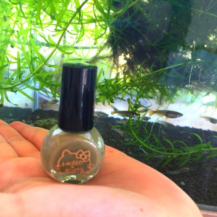 サンリオネイル/DAISO/マニキュアを使ったクチコミ(1枚目)