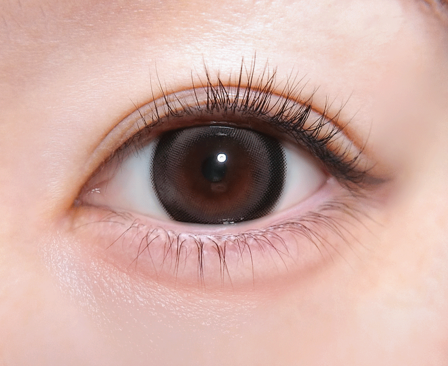 トリコニナル ワンデー 溺愛グレー