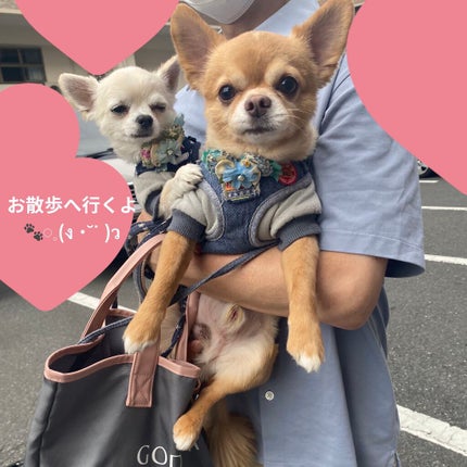 ローシャンプー/SABON/市販シャンプーを使ったクチコミ(8枚目)