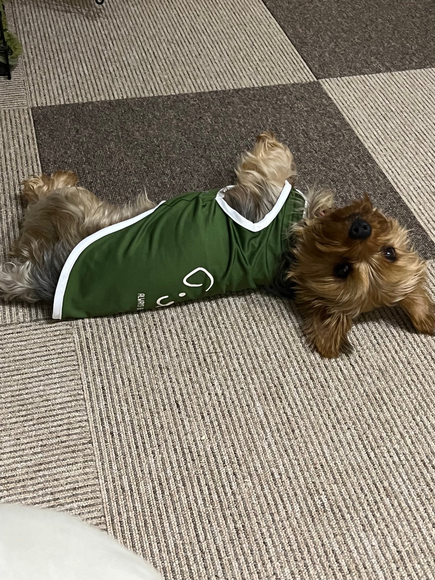 ヴィセ アヴァン リップスティック/Visée/口紅を使ったクチコミ(3枚目)