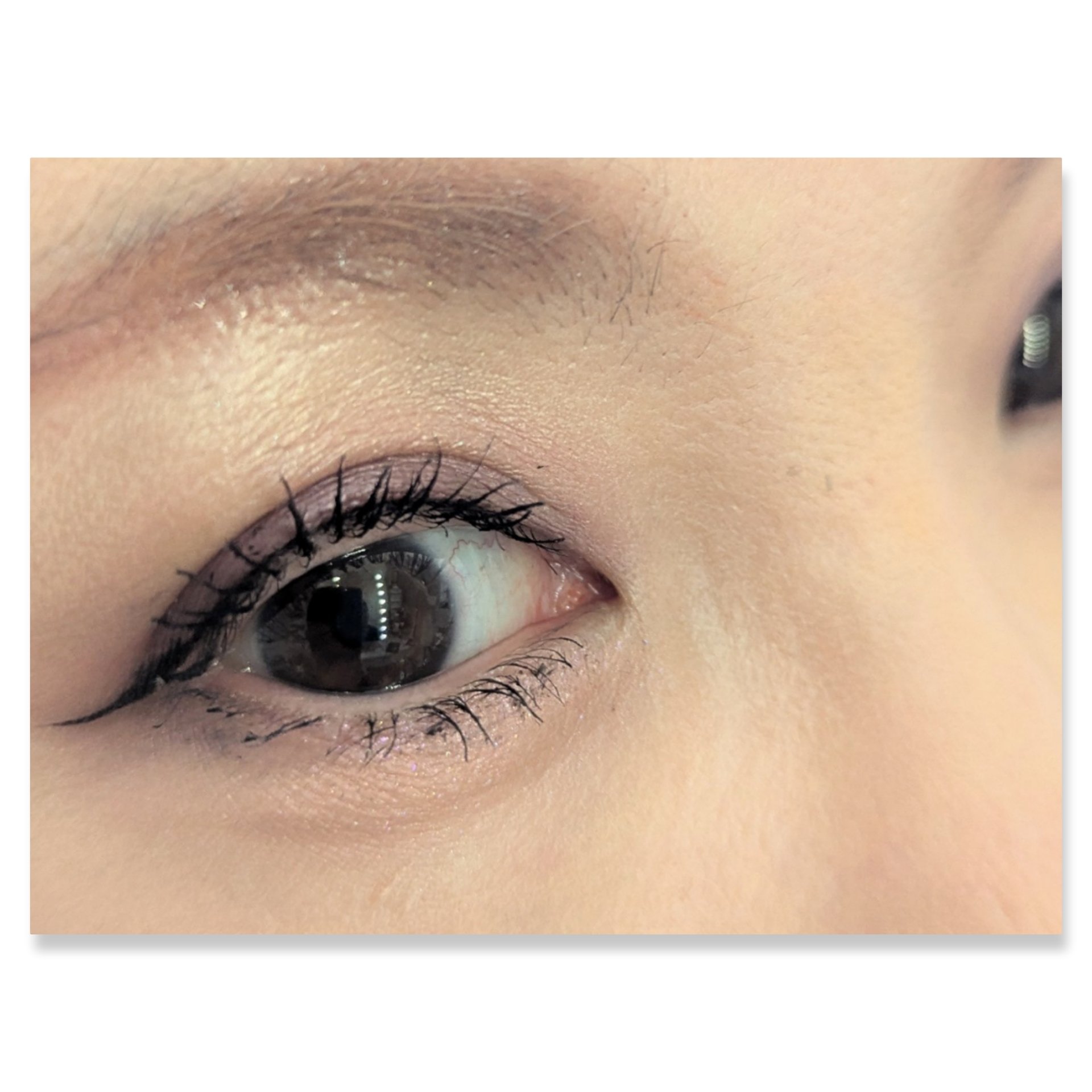 リンメル ロンドン ロイヤルヴィンテージ アイズのクチコミ「本日のアイシャドウ♡
#リンメル
#ロイヤルヴィンテージアイズ
015 スモーキーアメジスト
.....」（2枚目）