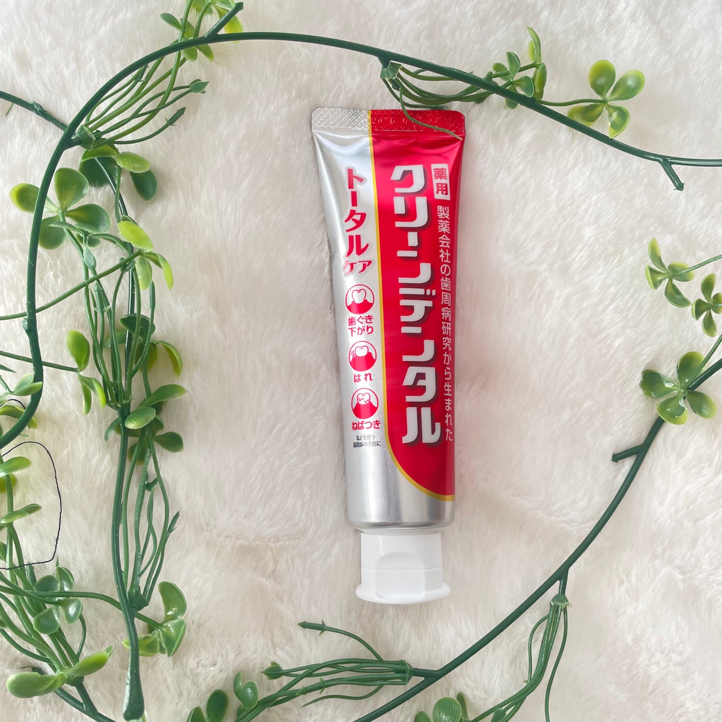 もふ on LIPS 「#PR#クリーンデンタル販売名:DS薬用歯磨きLb【医薬部外品..」(1枚目)