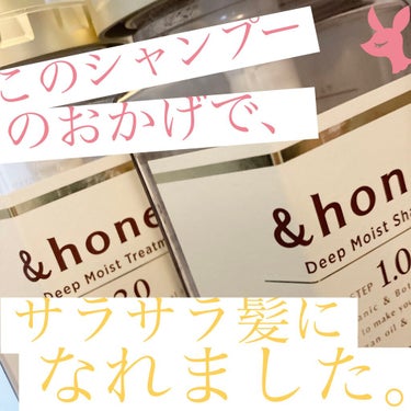 ディープモイスト シャンプー1.0／ヘアトリートメント2.0/&honey/シャンプー・コンディショナーを使ったクチコミ（1枚目）