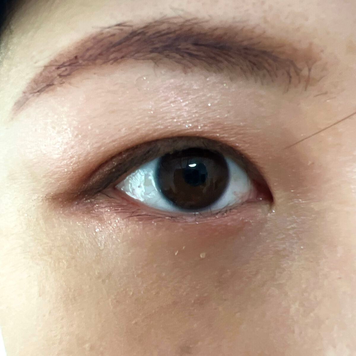 シルキースフレアイズ/キャンメイク/アイシャドウパレットを使ったクチコミ(2枚目)