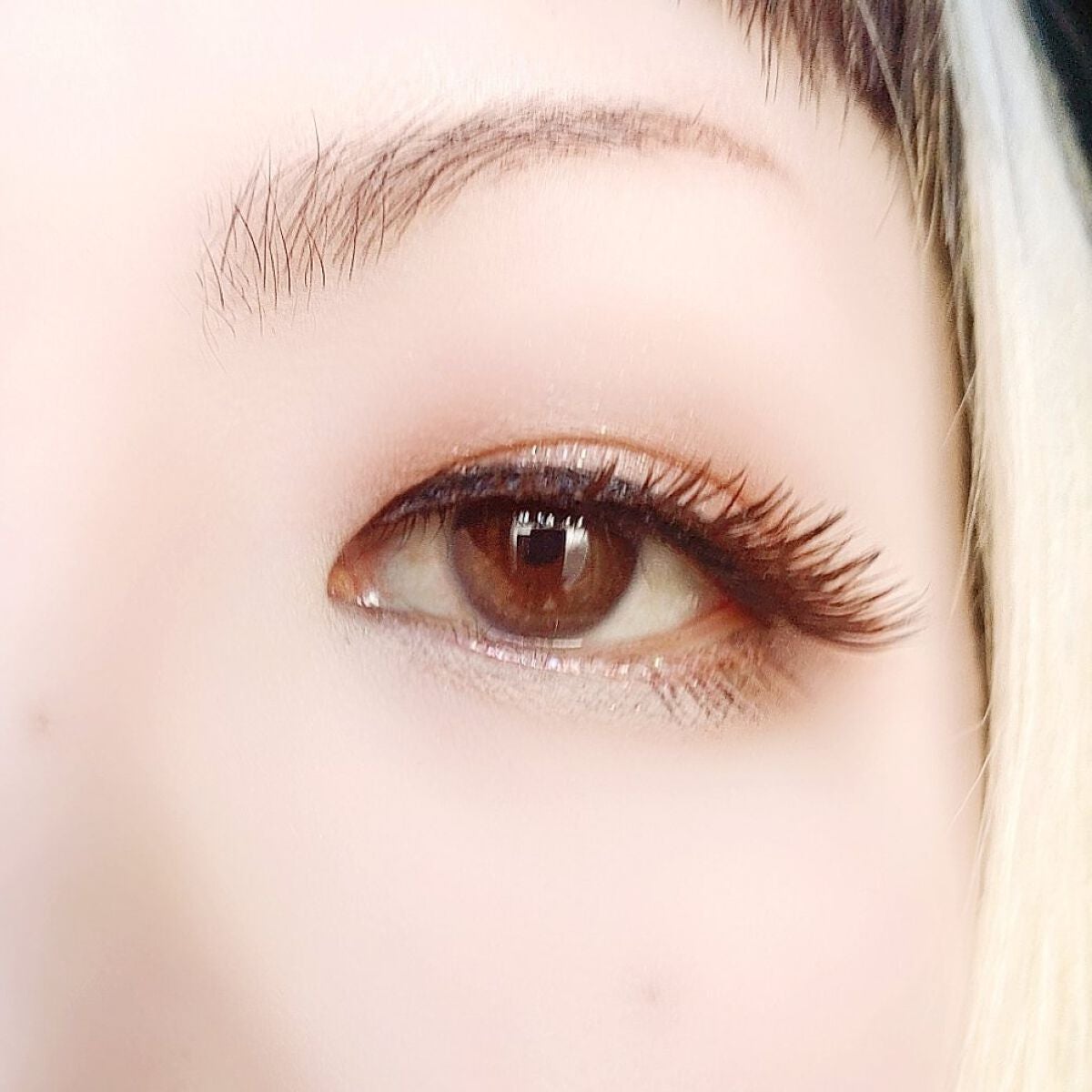 シルキースフレアイズ(マットタイプ)/キャンメイク/アイシャドウパレットを使ったクチコミ(5枚目)