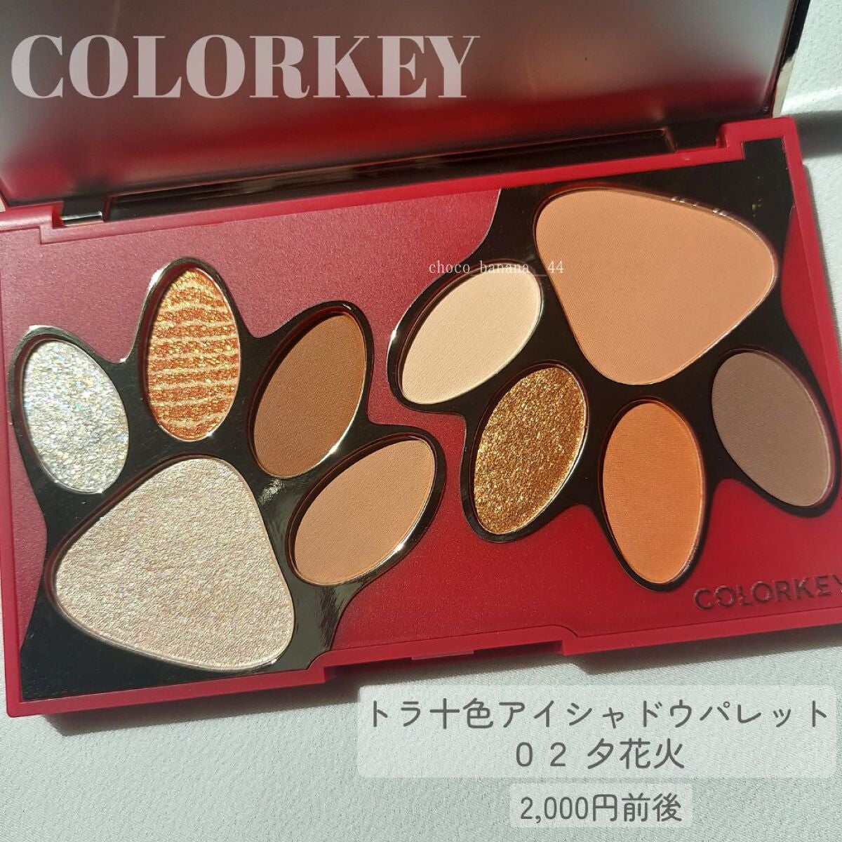 トラ十色アイシャドウパレット/COLORKEY/アイシャドウパレットを使ったクチコミ(2枚目)