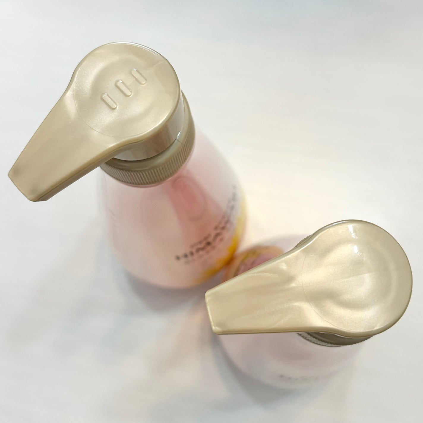 ãªã€ã«ã€ã³ã·ã£ã³ããŒïŒãªã€ã«ã€ã³ã³ã³ãã£ã·ã§ã㌠(ã°ãã¹ïŒãªãã¢)/ãã£ã¢ããŒã/åžè²©ã·ã£ã³ããŒã䜿ã£ãã¯ãã³ãïŒ3æç®ïŒ