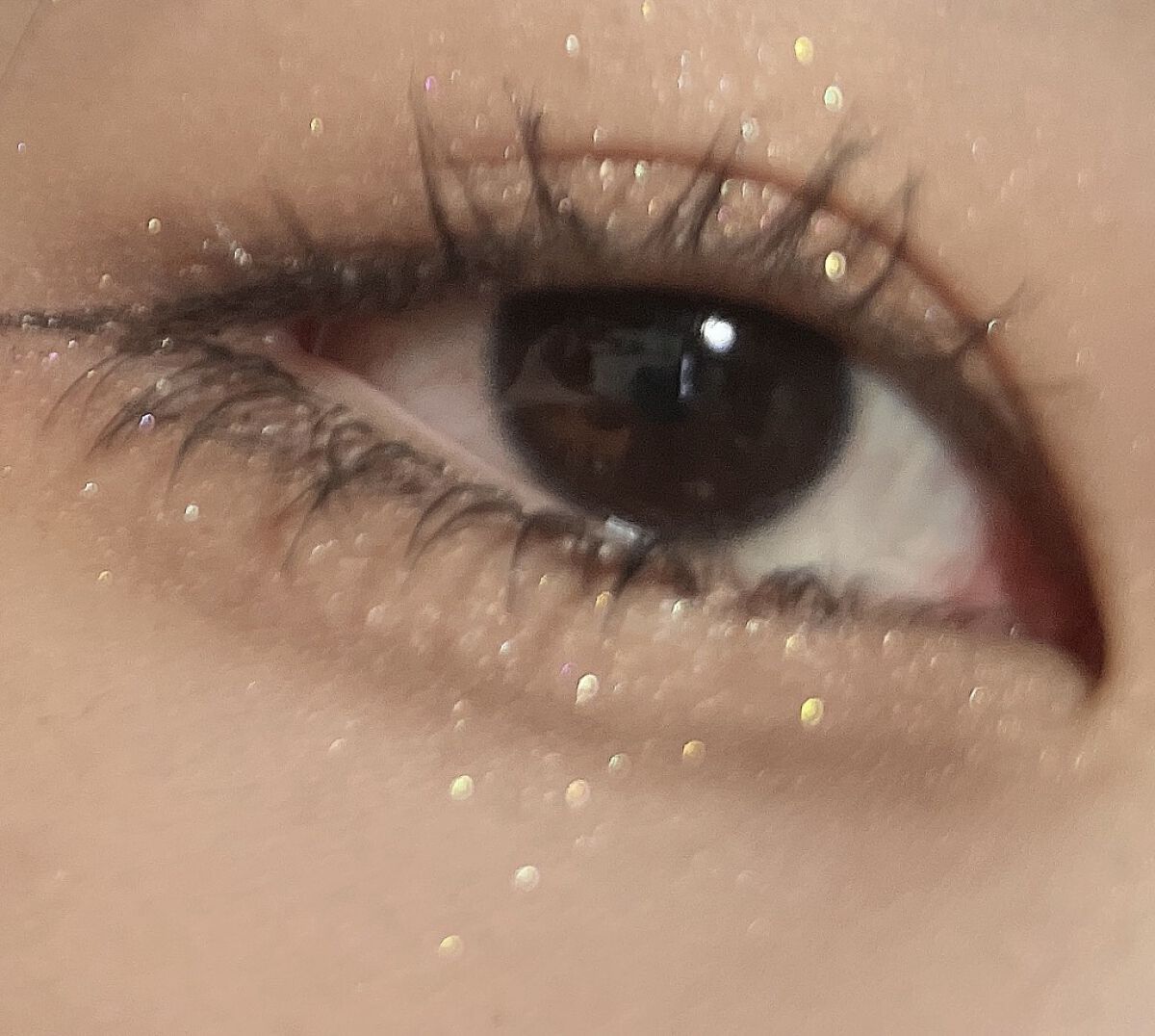 セルフィーフィックスピグメント/Witch's Pouch/単色アイシャドウを使ったクチコミ（1枚目）