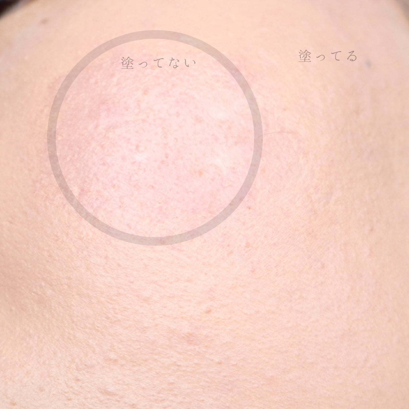 ヴィーガンアクアゼロフィットクッション/HAMEL/クッションファンデーションを使ったクチコミ(7枚目)