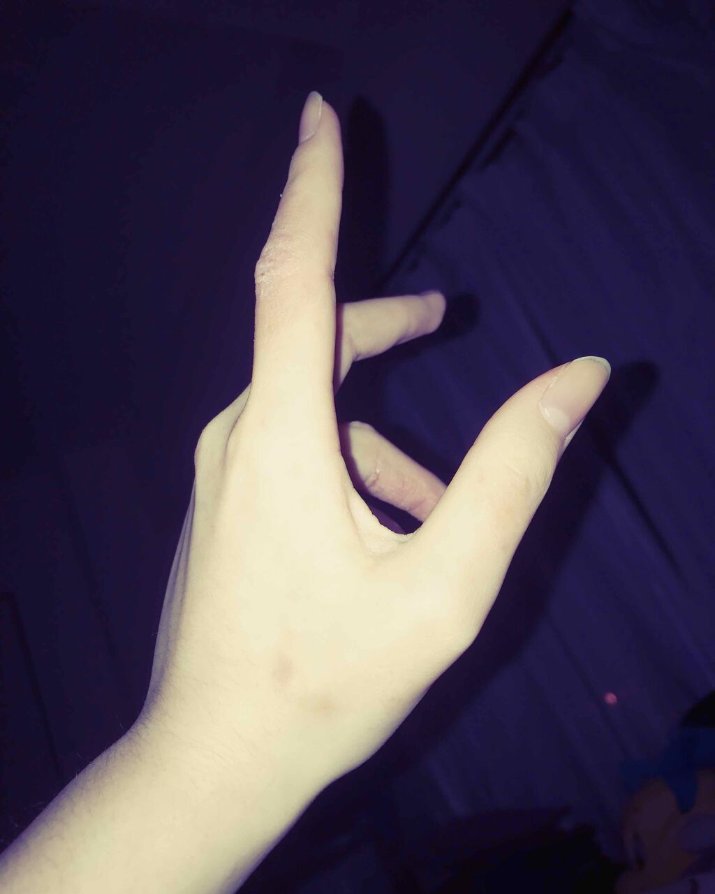 シャイニングネイルラブ/ネイリスト/ネイル用品を使ったクチコミ（1枚目）