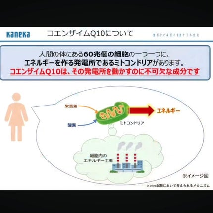 ナイトヴェール/カネカ/栄養ドリンクを使ったクチコミ(6枚目)