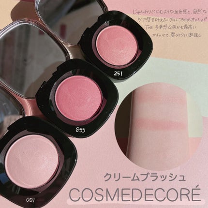 クリーム ブラッシュ/DECORTÉ/ジェル・クリームチークを使ったクチコミ(4枚目)