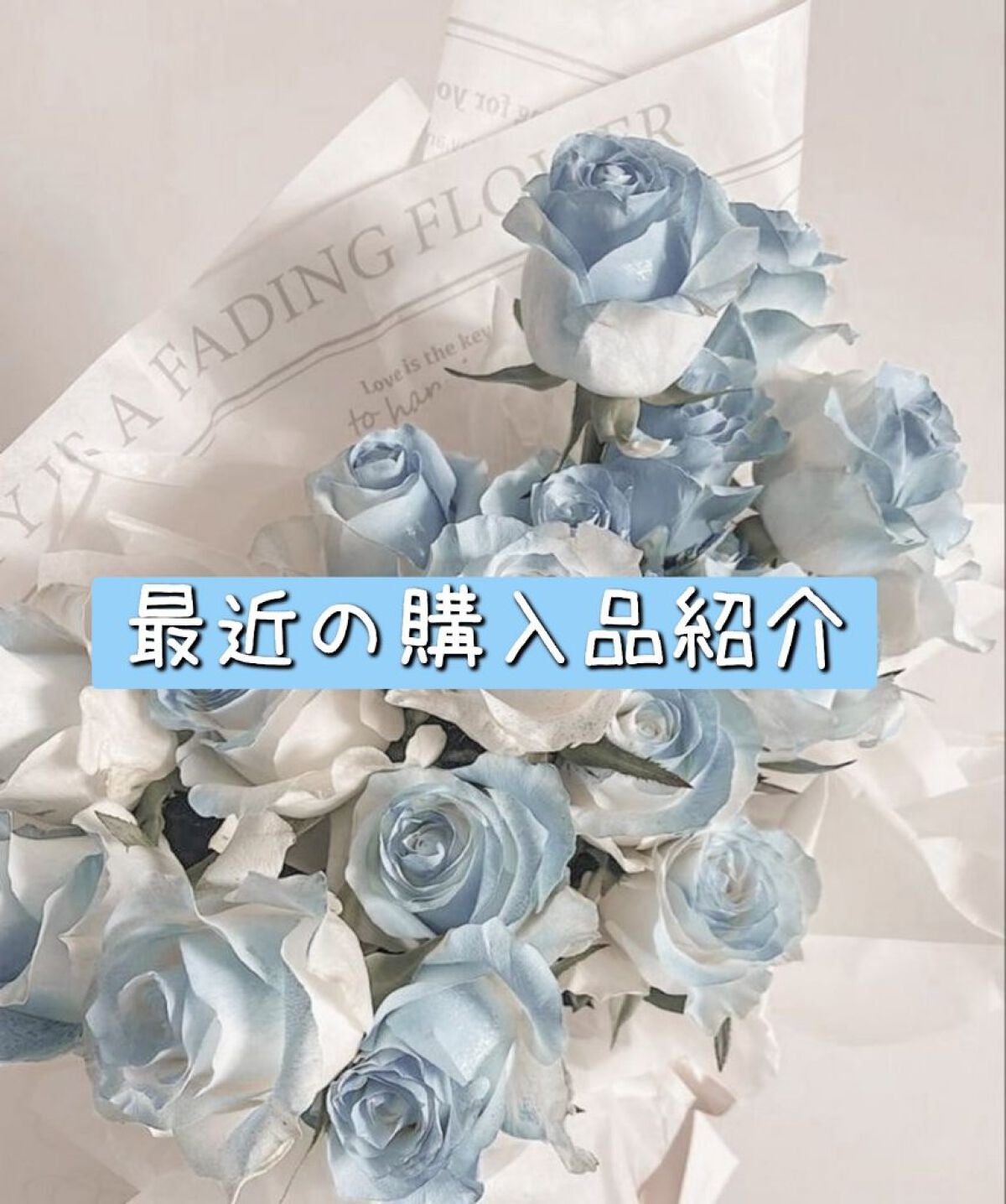 ノーズ&アイブロウパウダー/CEZANNE/パウダーアイブロウを使ったクチコミ(1枚目)