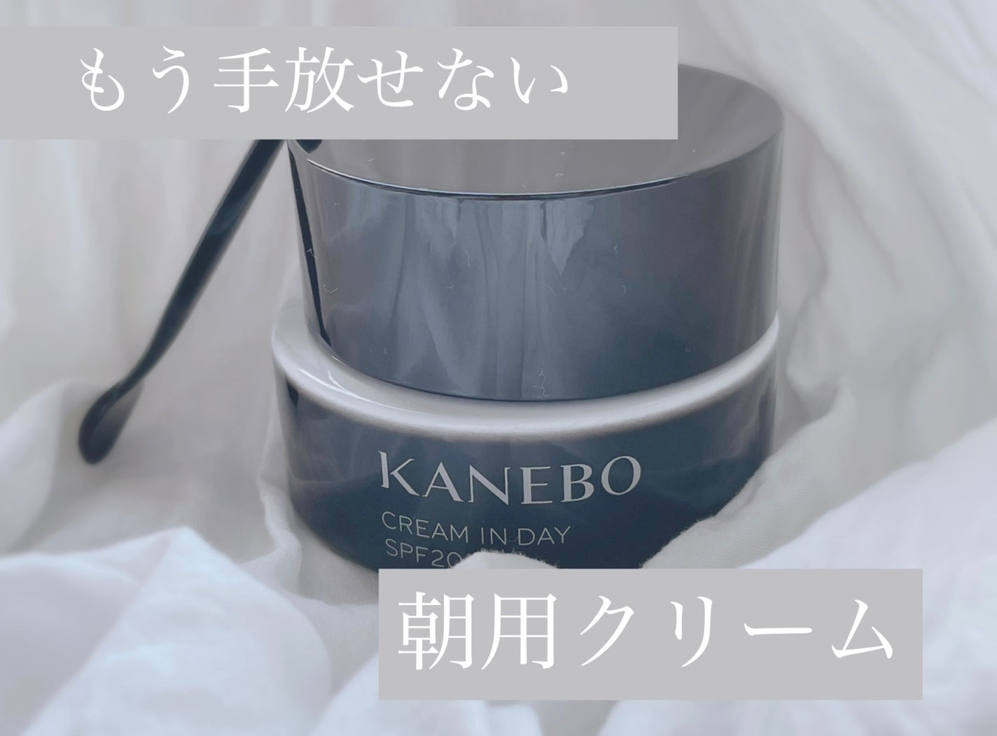 クリーム イン デイ/KANEBO/フェイスクリームを使ったクチコミ(1枚目)