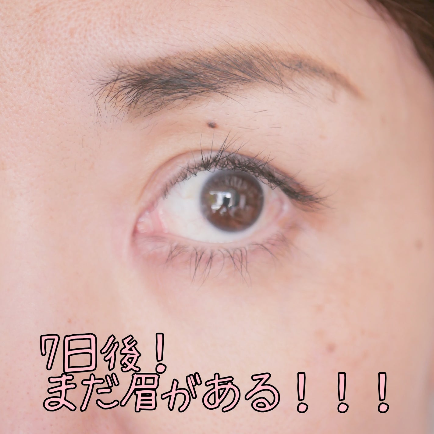 アイブロウ ティントライナー/エレガンス/眉ティントを使ったクチコミ(9枚目)