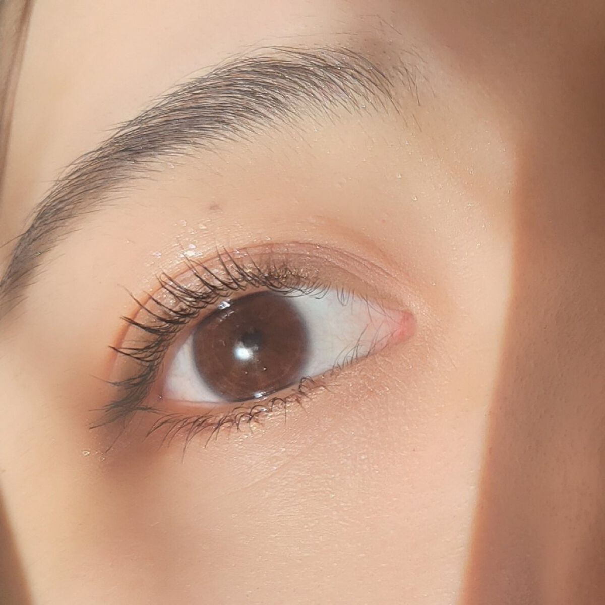 ミネラルクラッシィシャドー2022CF ビタークチュール/エトヴォス/アイシャドウパレットを使ったクチコミ（3枚目）