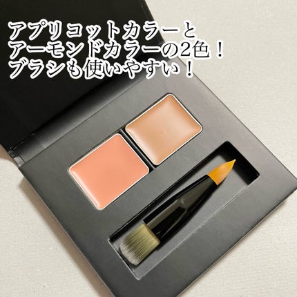 ロングウェア フィッティング コンシーラー/ブリリアージュ/パレットコンシーラーを使ったクチコミ(2枚目)