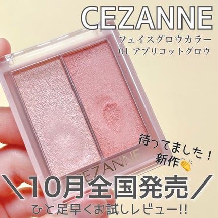 フェイスグロウカラー/CEZANNE/クリームハイライトを使ったクチコミ(2枚目)
