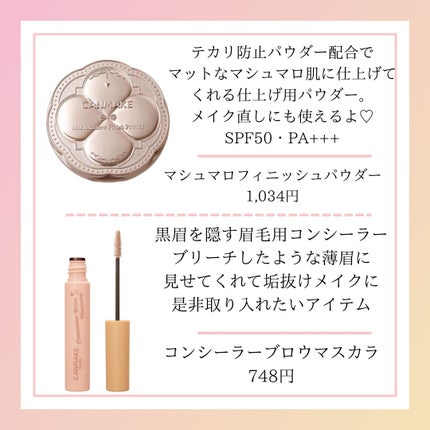 ラスティングマルチアイベース WP/キャンメイク/アイシャドウベースを使ったクチコミ(4枚目)