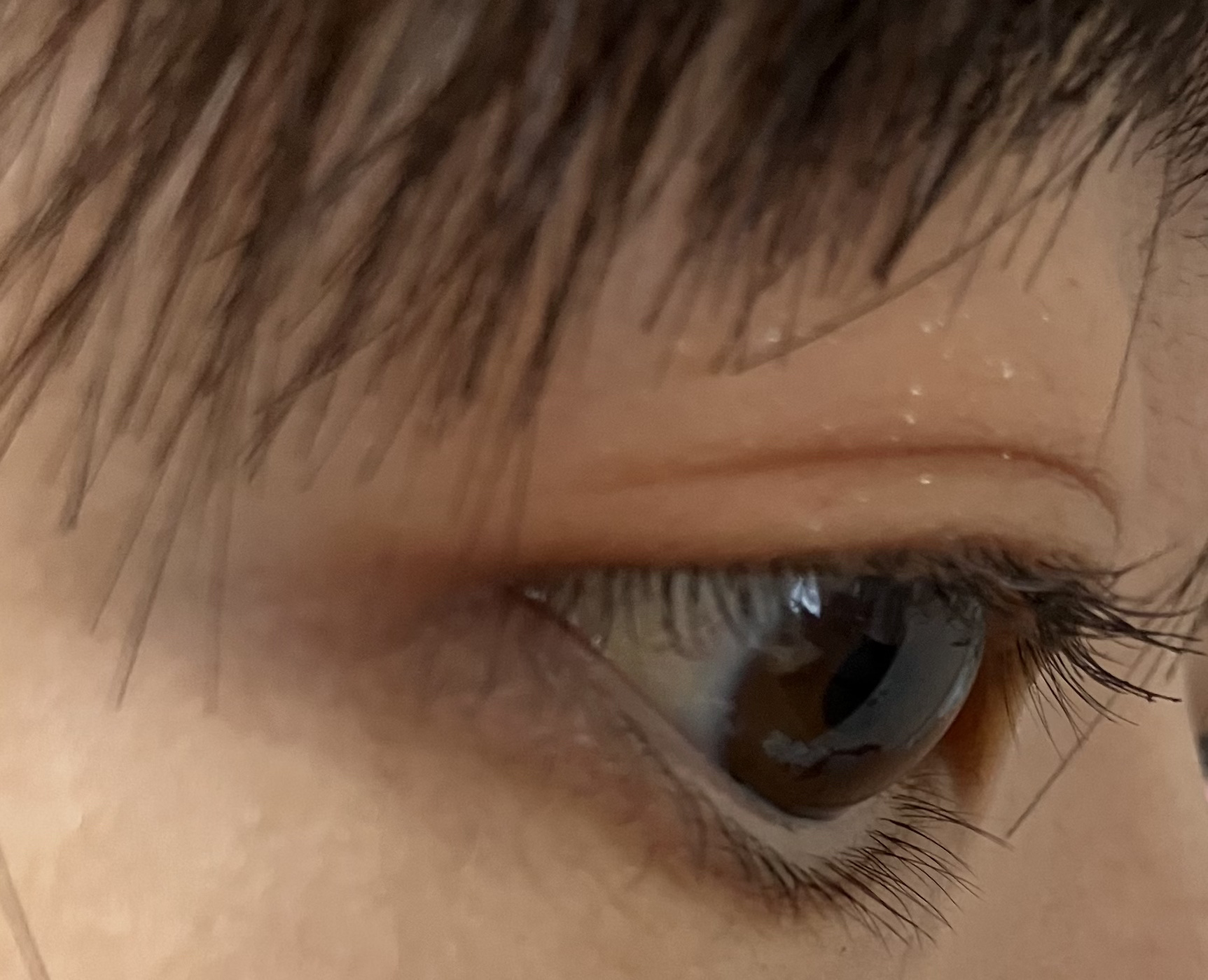 エテュセ アイエディション（マスカラベース）LE/ettusais/マスカラ下地を使ったクチコミ（3枚目）