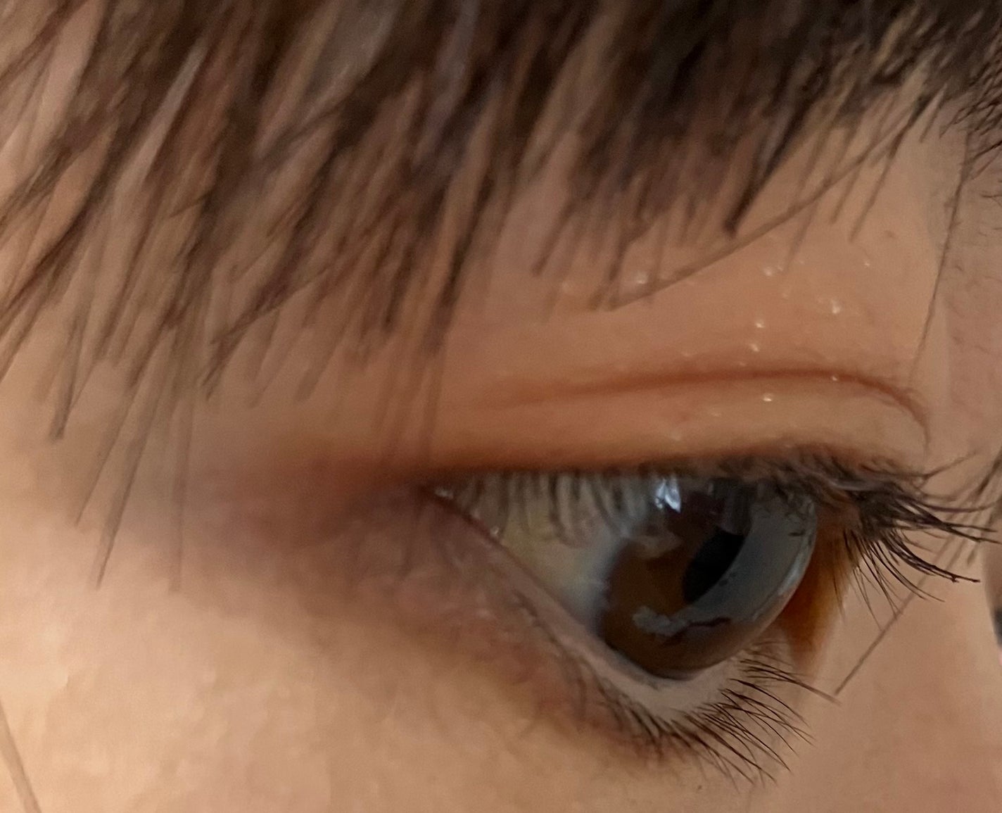 エテュセ アイエディション(マスカラベース)LE/ettusais/マスカラ下地を使ったクチコミ(3枚目)