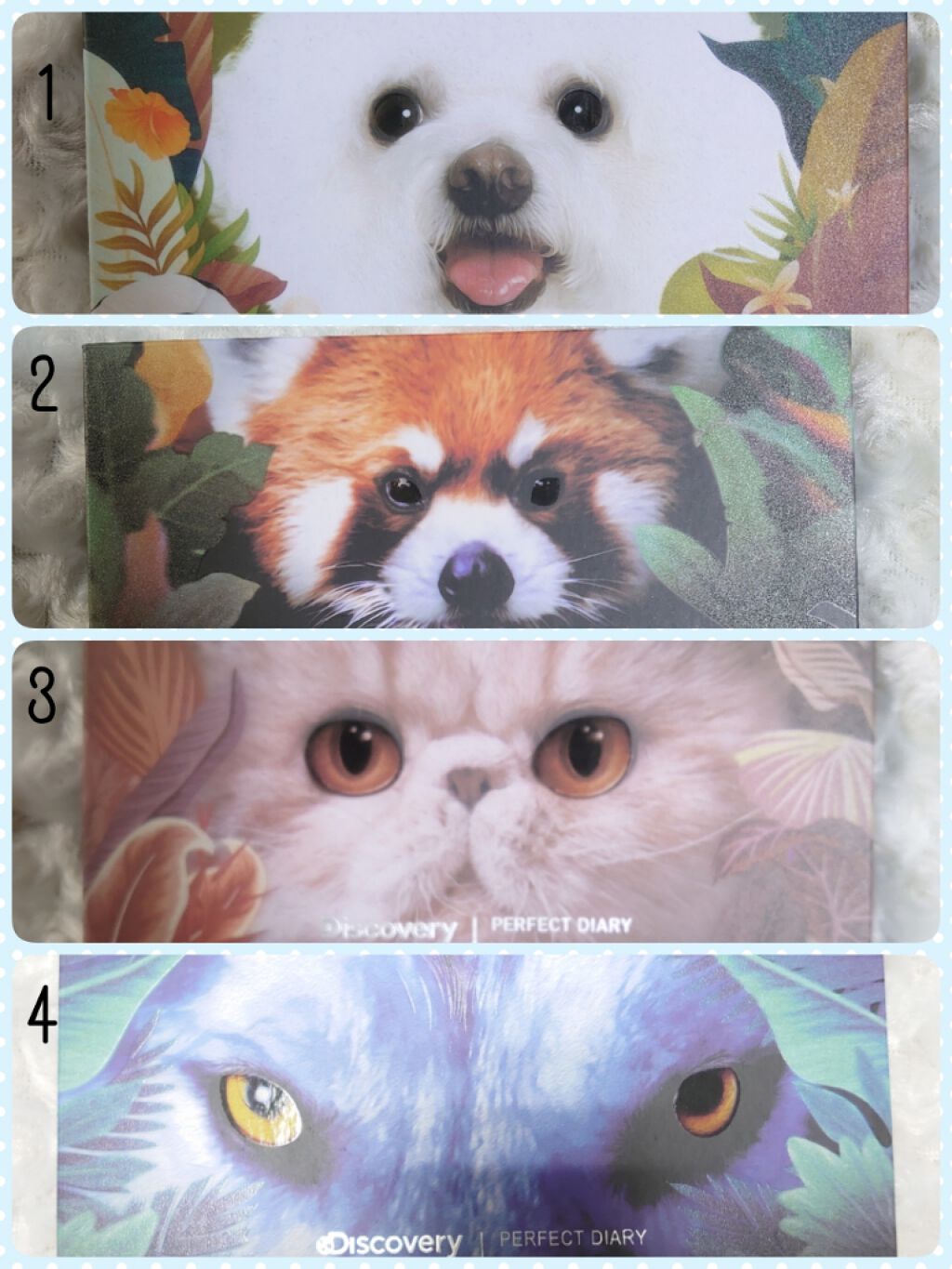 エクスプローラ12色 動物アイシャドウパレット/PERFECT DIARY/アイシャドウパレットを使ったクチコミ（1枚目）