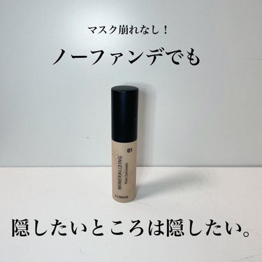 ミネラライジング ポア コンシーラー/the SAEM/リキッドコンシーラーを使ったクチコミ（1枚目）