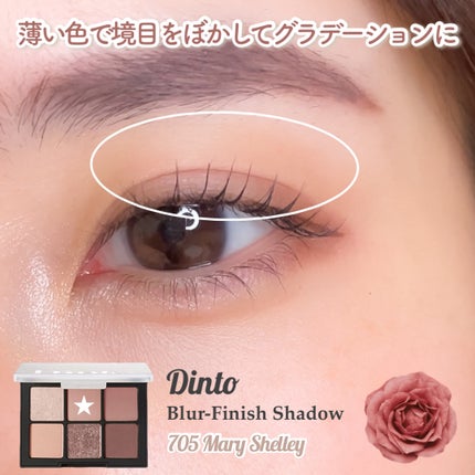 ブラーフィニシュシャドウパレット/Dinto/アイシャドウパレットを使ったクチコミ(4枚目)