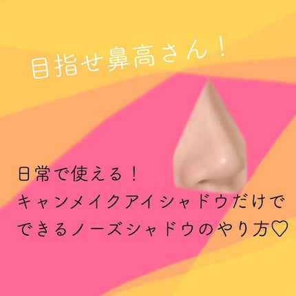 パーフェクトマルチアイズ/キャンメイク/アイシャドウパレットを使ったクチコミ(1枚目)