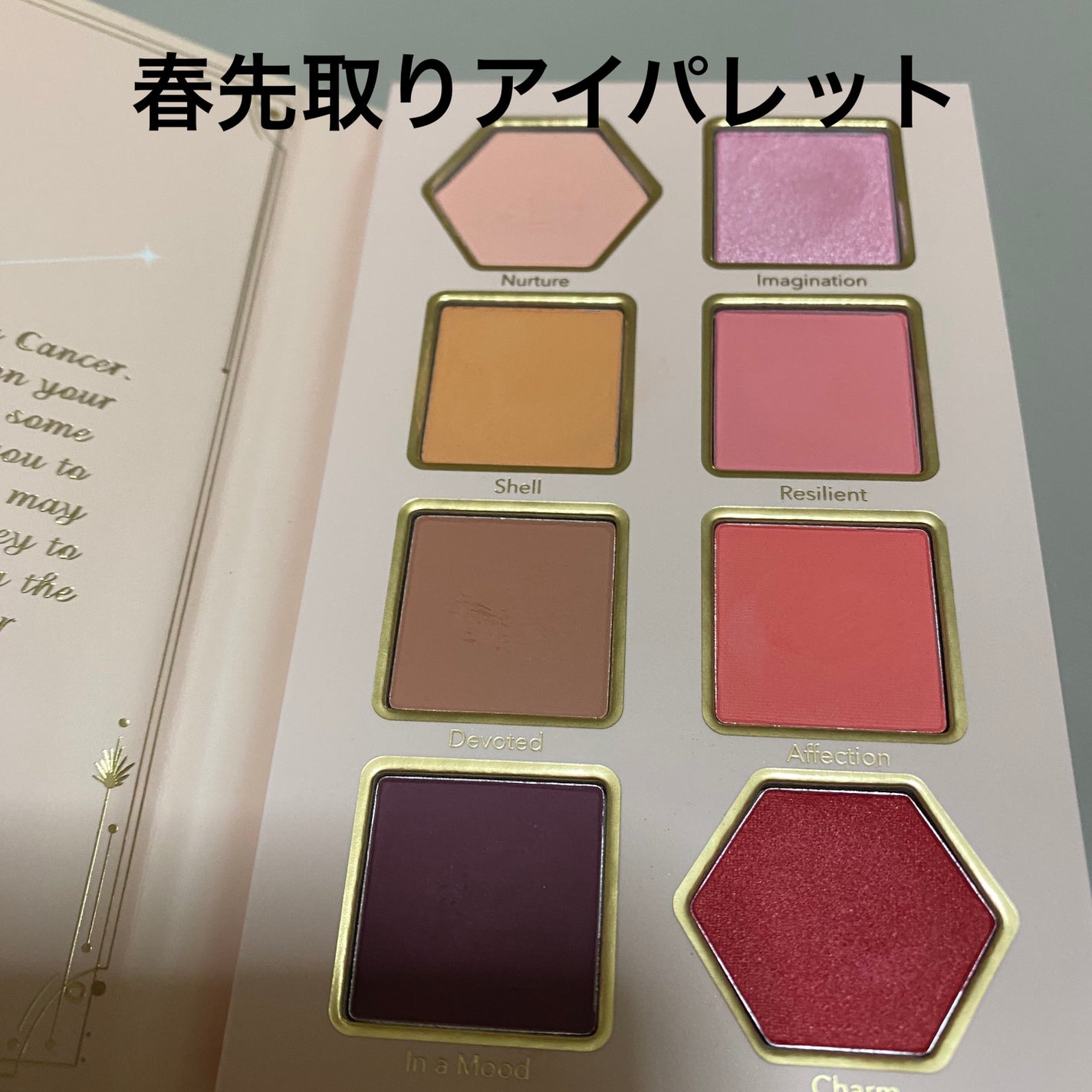 ようこ on LIPS 「マット系で春っぽいアイパレットが欲しくて購入してみました。仕事..」(1枚目)