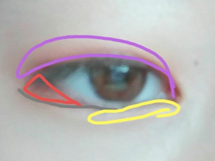 ãããð on LIPS ããŠãŒã¢ãŒã°ã©ã ã®ïŒè²ãã¬ãããšã¢ã€ã©ã€ããŒã¯ãšãŠãåªç§ïŒåå¿è
..ãïŒ5æç®ïŒ