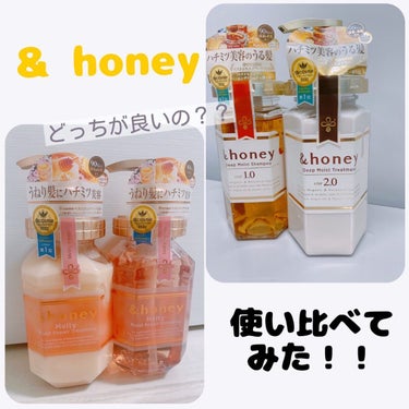 ディープモイスト シャンプー1.0／ヘアトリートメント2.0/&honey/シャンプー・コンディショナーを使ったクチコミ（1枚目）