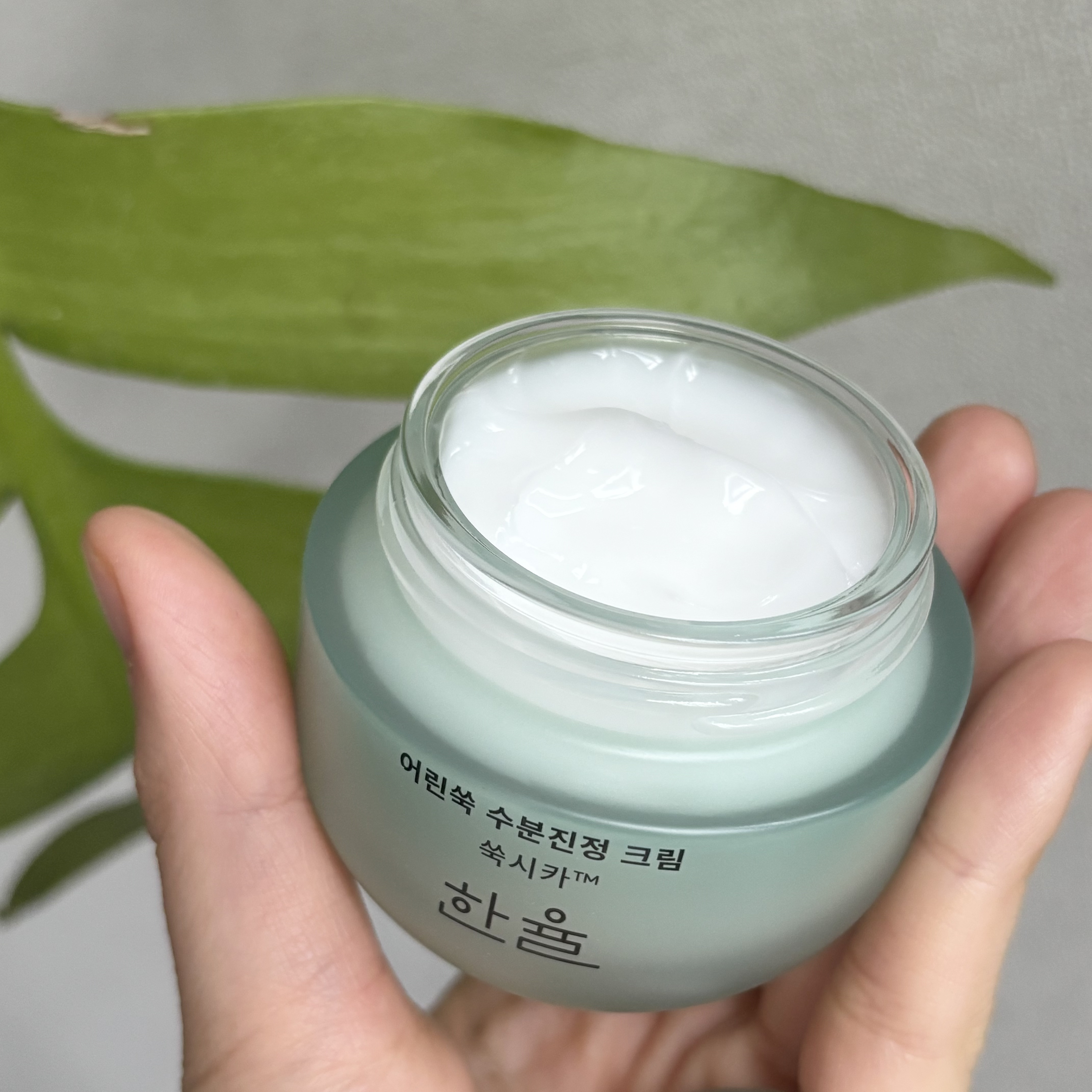 ピュアアルテミシア カーミングウォータークリーム/HANYUL(ハンユル)/フェイスクリームを使ったクチコミ（1枚目）