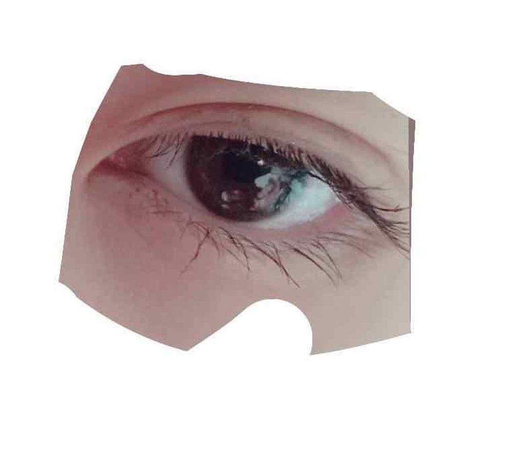 マツイクガールズラッシュ (おてんばカール)/インテグレート/マスカラを使ったクチコミ(2枚目)