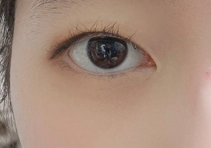 パーフェクトマルチアイズ/キャンメイク/アイシャドウパレットを使ったクチコミ(6枚目)