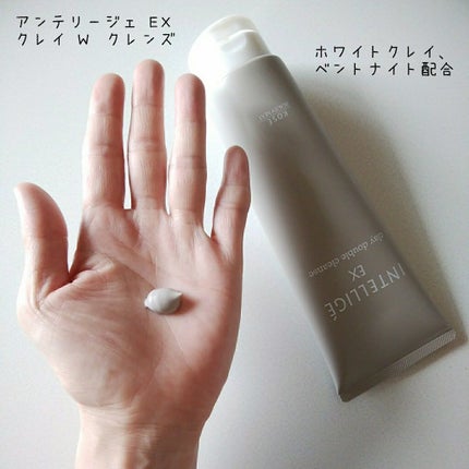 クレイ W クレンズ/アンテリージェEX/クレンジングクリームを使ったクチコミ(1枚目)